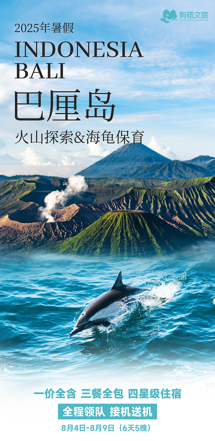 火山线_画板-1_01