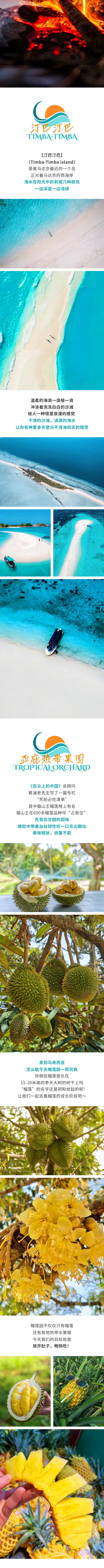 show_660280193_1768045229186_slice_3